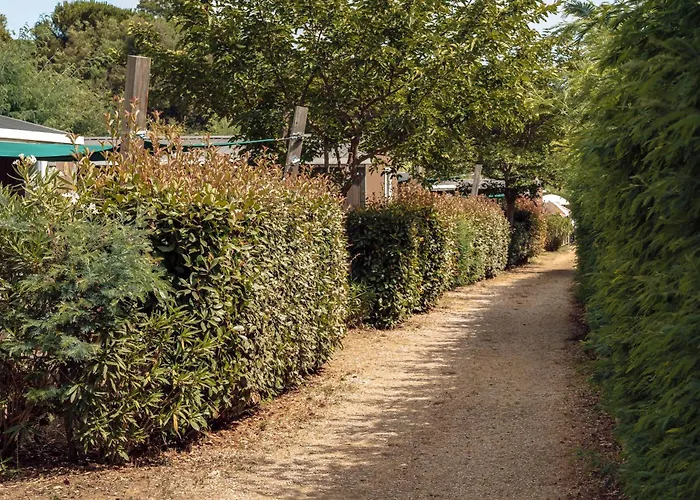 Camping Domaine De Verdagne 4*